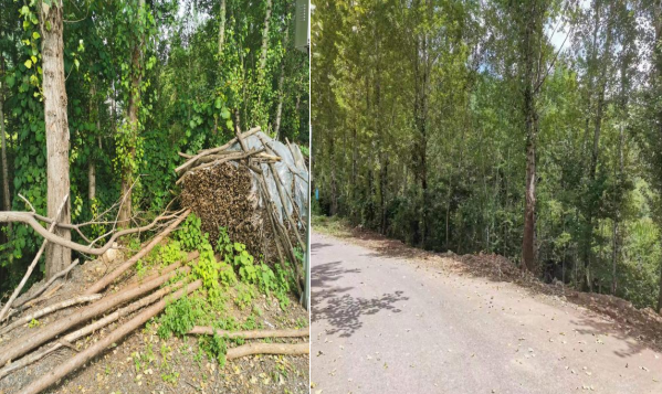 1659339549223737.png 2.png