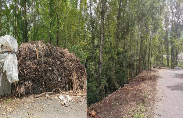 1659339554379807.png 3.png