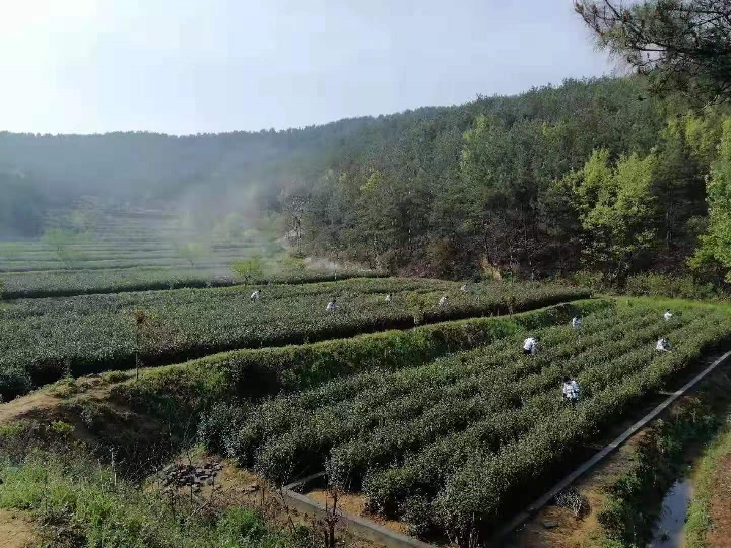 1680095211796641.jpg 1.jpg