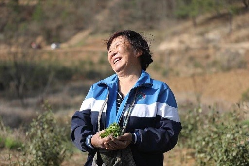 1680095280549200.jpg 3.jpg