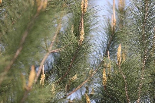 1680095316933316.jpg 5.jpg