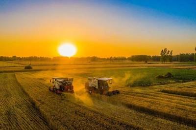 1682395957793317.jpg t01bd81f0ee8353faef.jpg