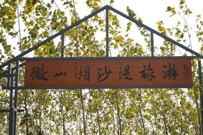 1683187462393522.jpg t01f621a67417fc8daf.jpg