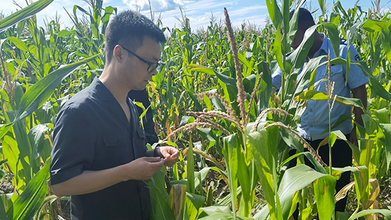 1684463430928617.jpg 6ffeffad0662dda269af6130c0e66fe4_c370381065c4b48953a046e5568d26f4.jpg