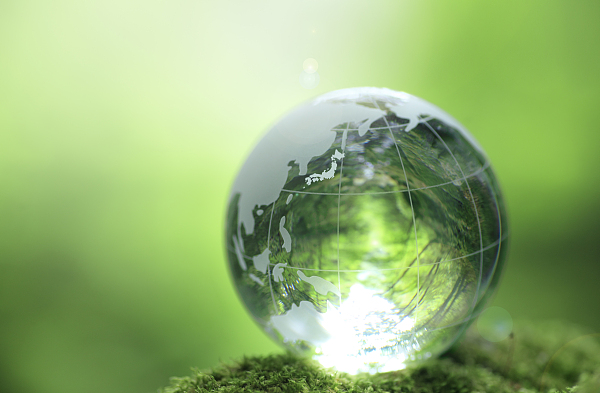 1686033528149950.jpg W020210305454399250799.jpg