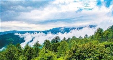 1686884799798199.jpg t01509aeb3f61da3e57.jpg