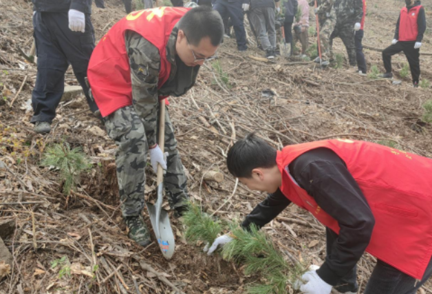 1714461524524936.png 2a0ef7e666260066d9e8cf7ced4a3ba7_1eed338d00ec53966102f41a3c081f04.png