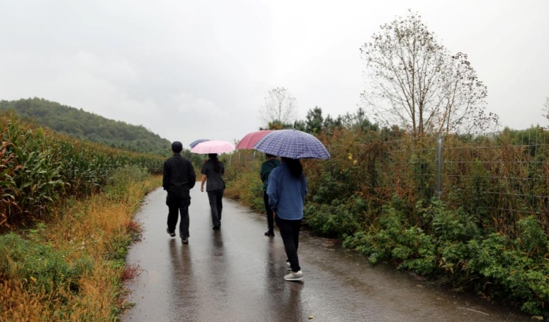 1727580947780678.png 22.png