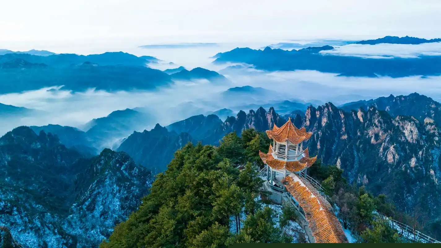 1731544253429792.jpg 1b02a72ed49832afc633aad2f38dfc2b_48fd29d117831e980b6924f42ed9dea1.jpg