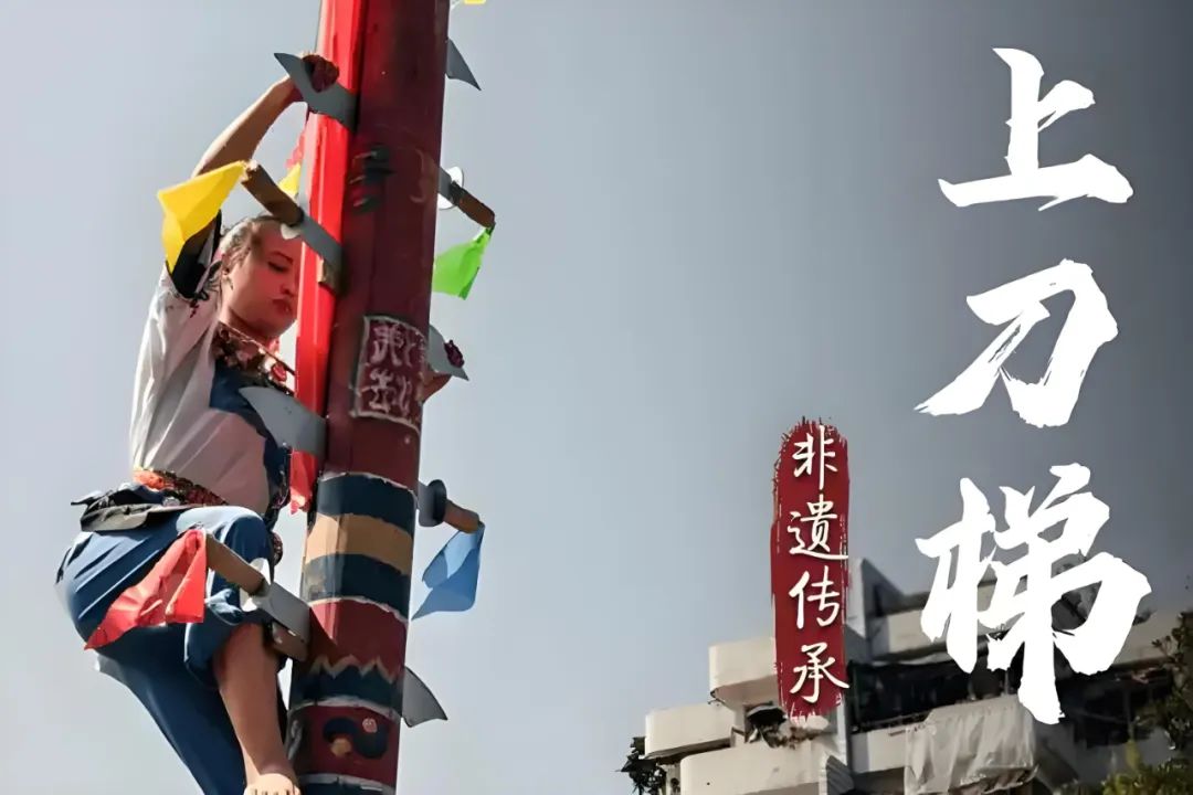 1737681850350860.jpg 640 (2).jpg