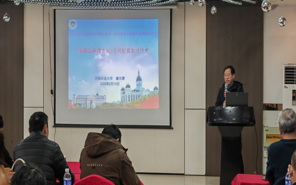 1741756527300594.png d24819f6ea59ce01bda0d31a8e957d01_9c0388e75e4d52a157a4039fec434967.png